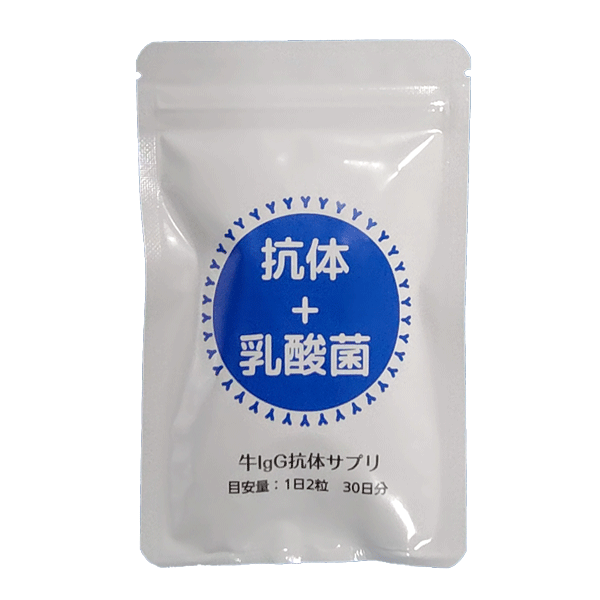 抗体+乳酸菌